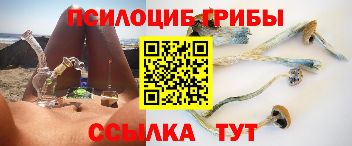 Псилоцибиновые грибы Psilocybe  Псилоцибиновые грибы GOLDEN TEACHER  Вход с VPN  Тобольск 